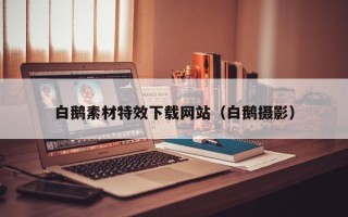 眉山白鹅素材特效下载网站（白鹅摄影）